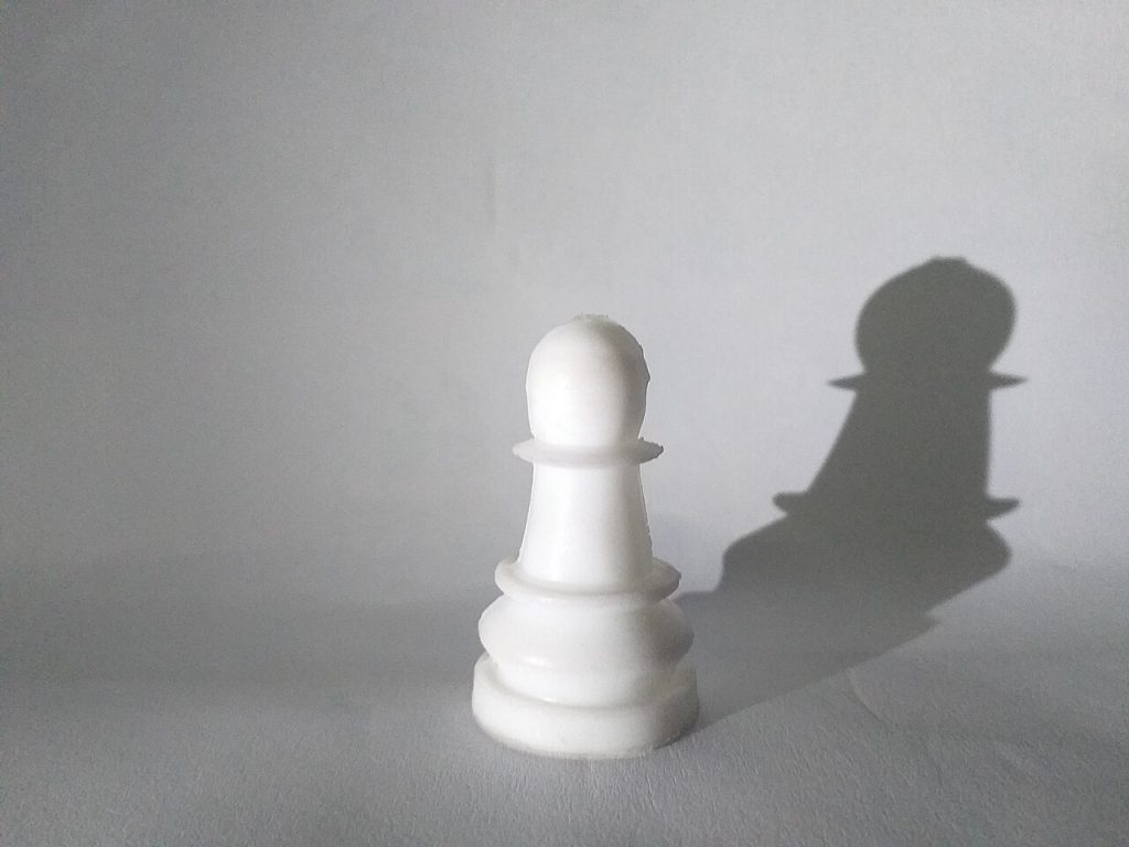 Building a Risk Management Framework for Growing Companies